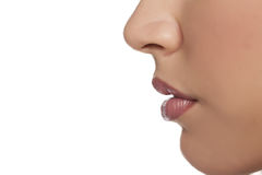 Nose 3.jpg