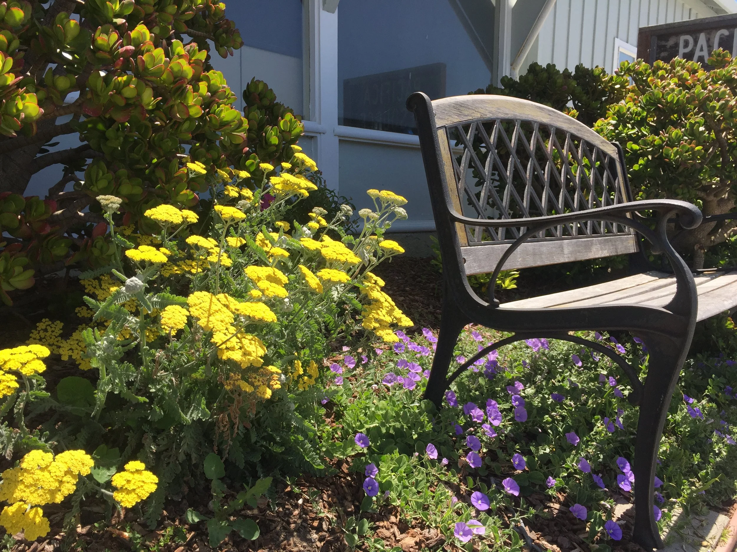 Pacifica Resource Center Bench.JPG