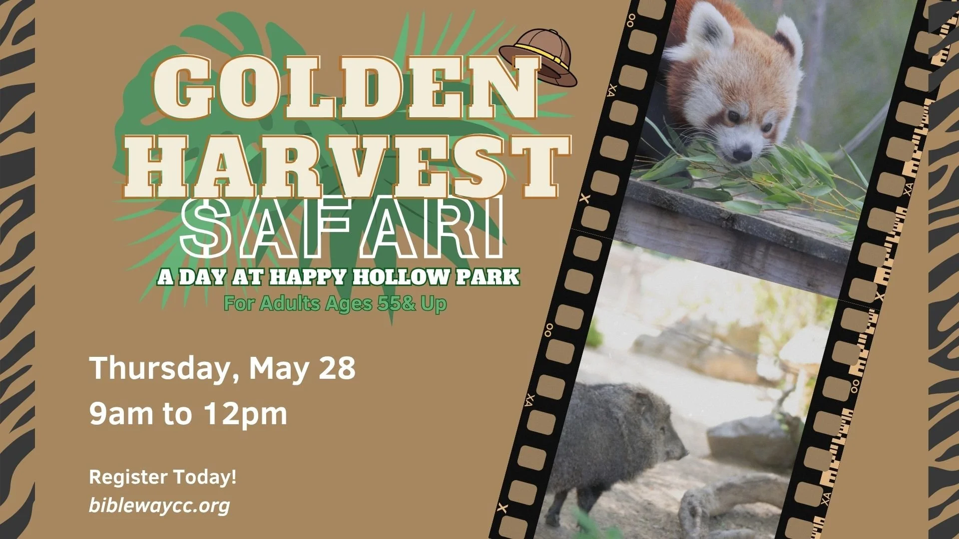 Senior Day at Happy Hallow