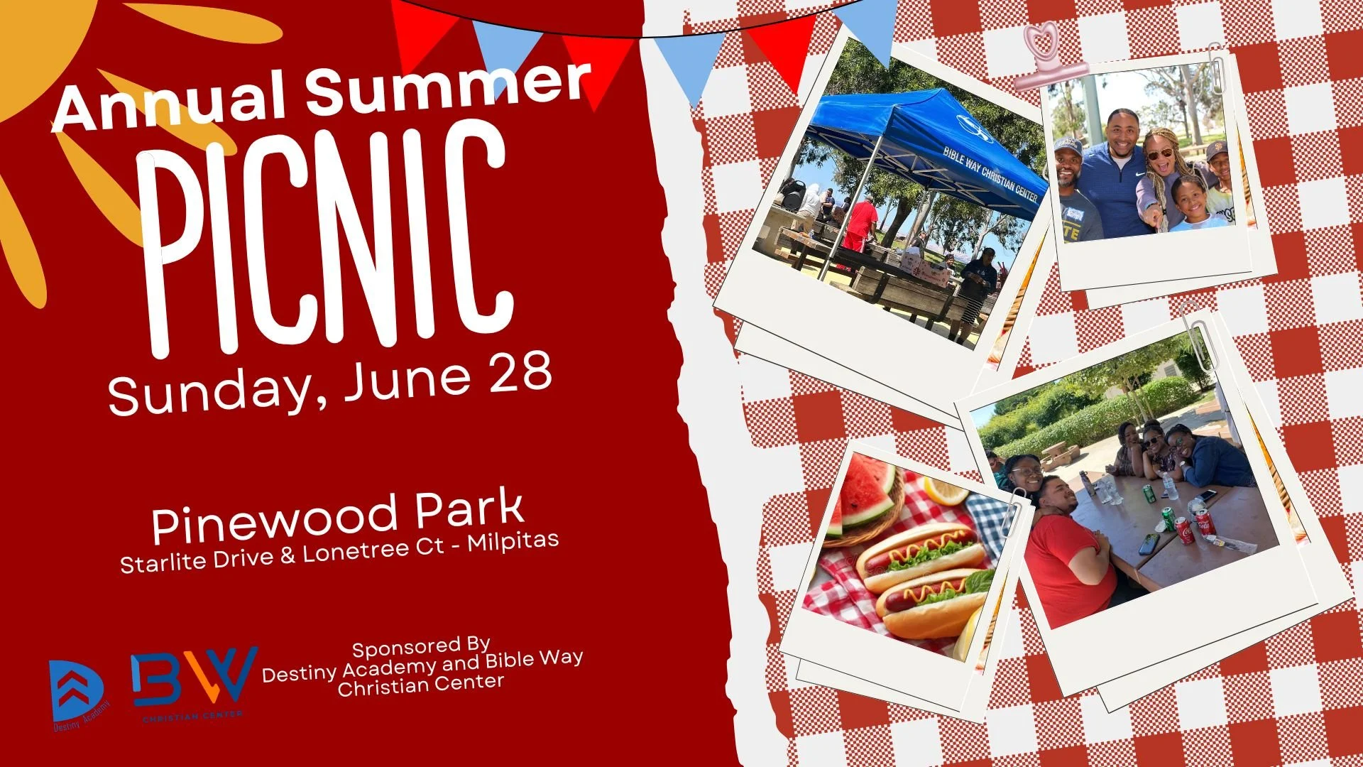 Summer Family Picnic