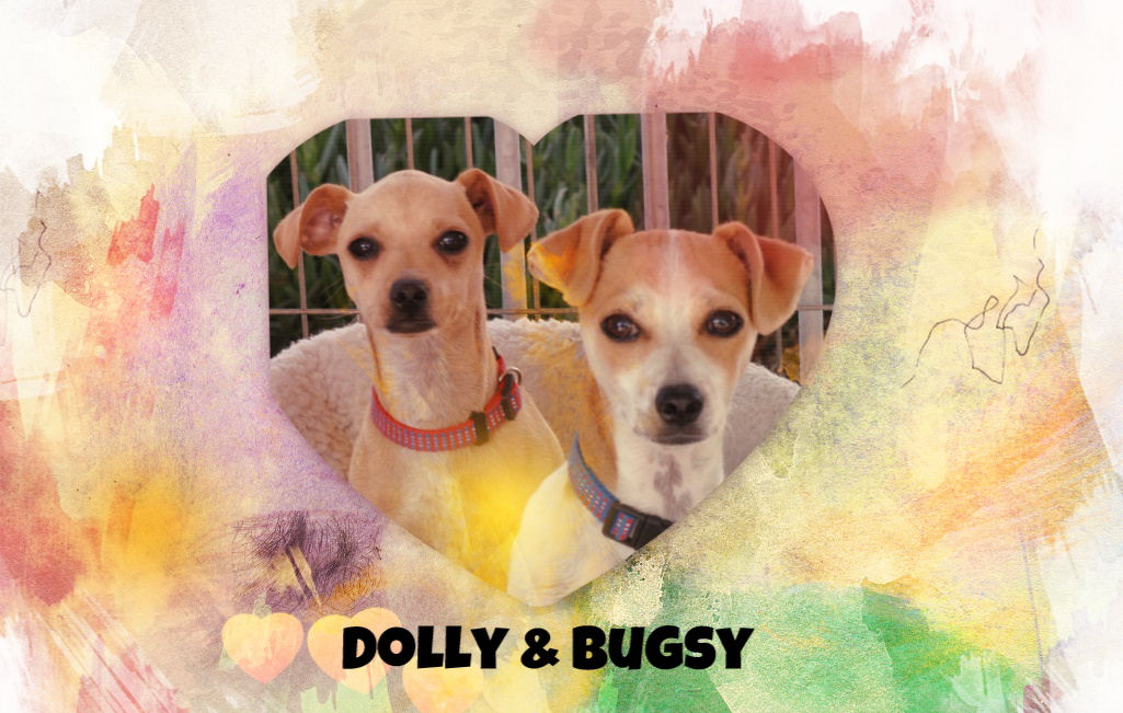 Dolly & Bugsy.jpg