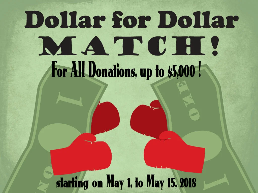 splash_page_dollar_match_by_nalthar-d8dw0d3.jpg