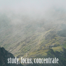 Study | Focus | Concentrate