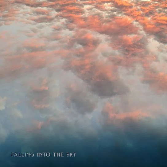 Falling Into the Sky Cover Sm.jpg
