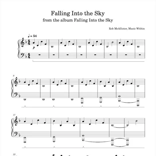 Falling Into the Sky Sm.jpg