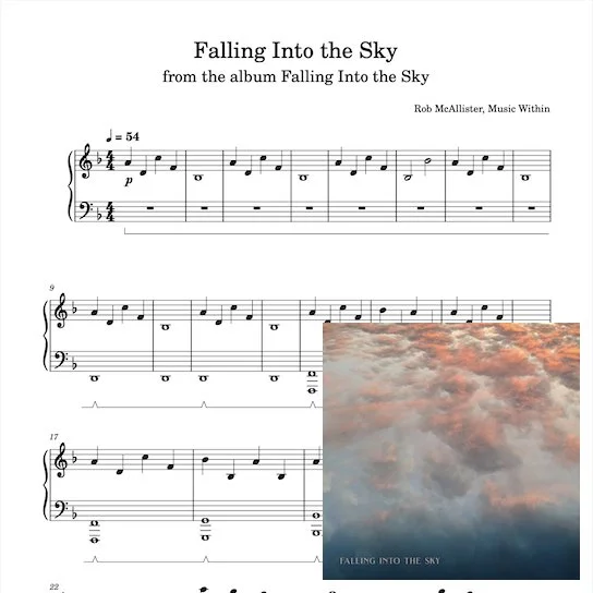 Falling Into the Sky Sm.jpg