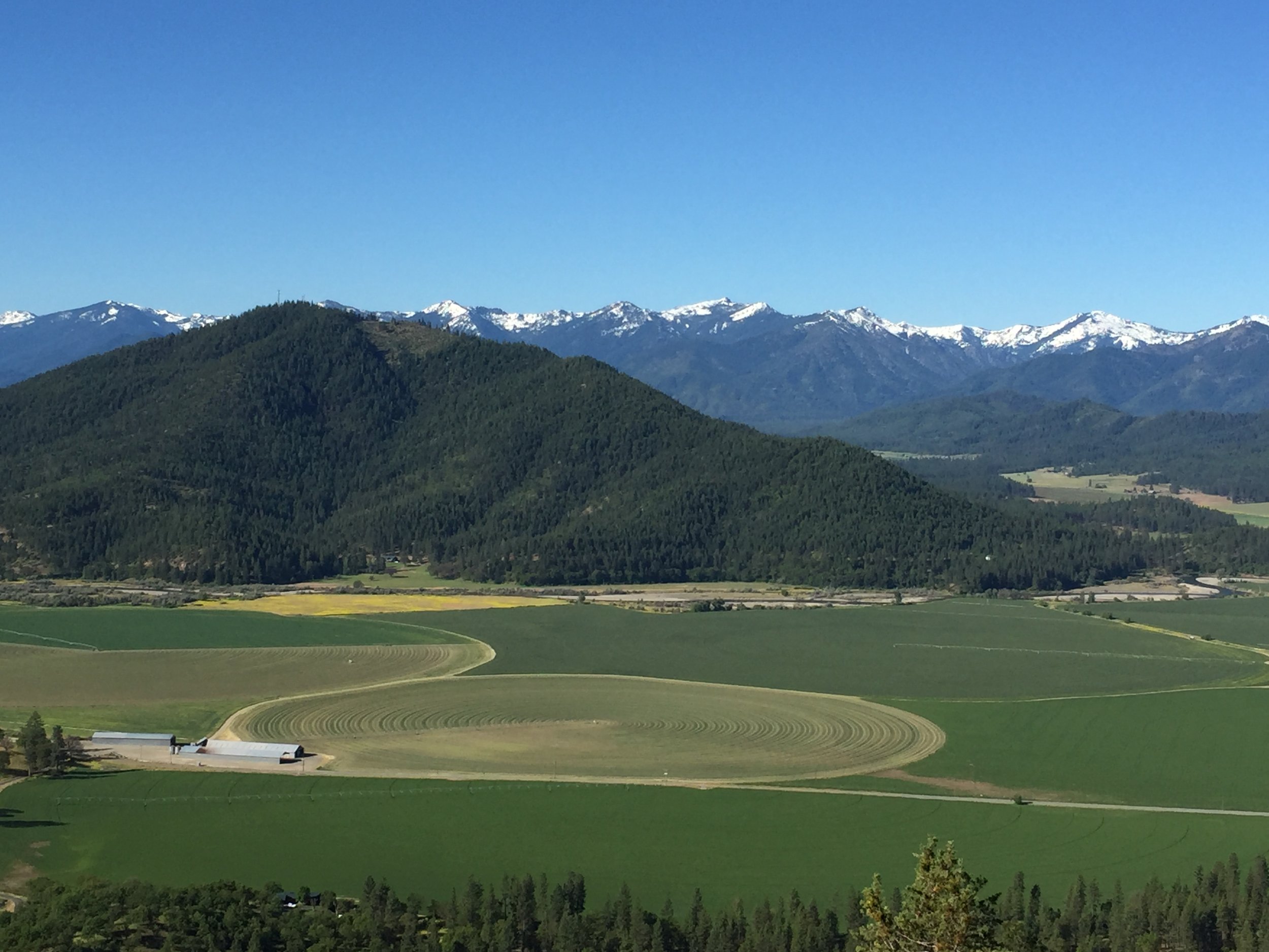 File May 19, 2 00 34 PM.jpeg