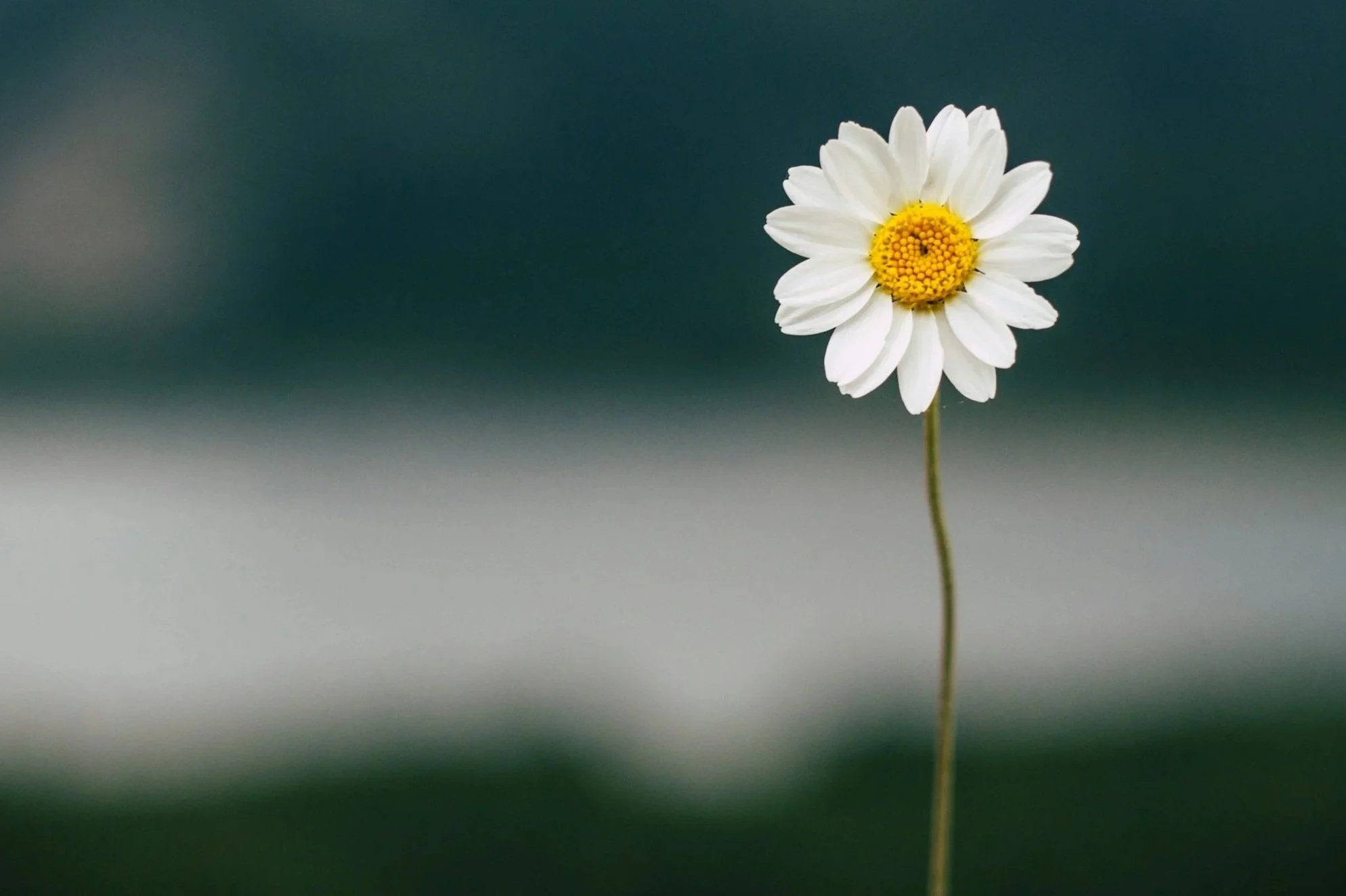 unsplash-image-TIM2WIFyGa4.jpg