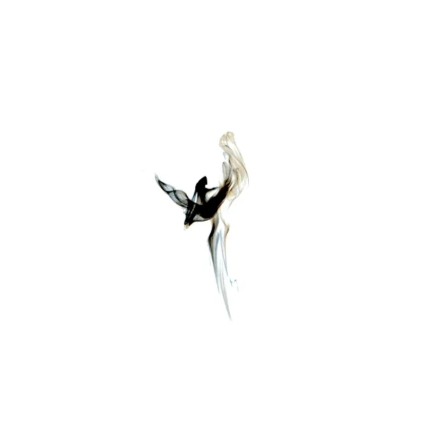 Smoke for Website-0017-100211.jpg