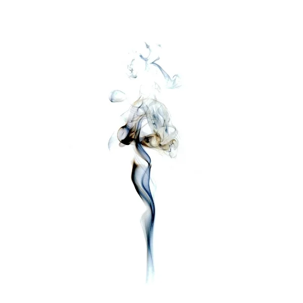 Smoke for Website-0018-100211.jpg