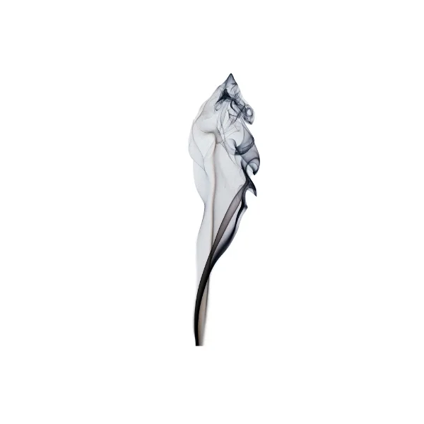 Smoke for Website-0067-120325.jpg
