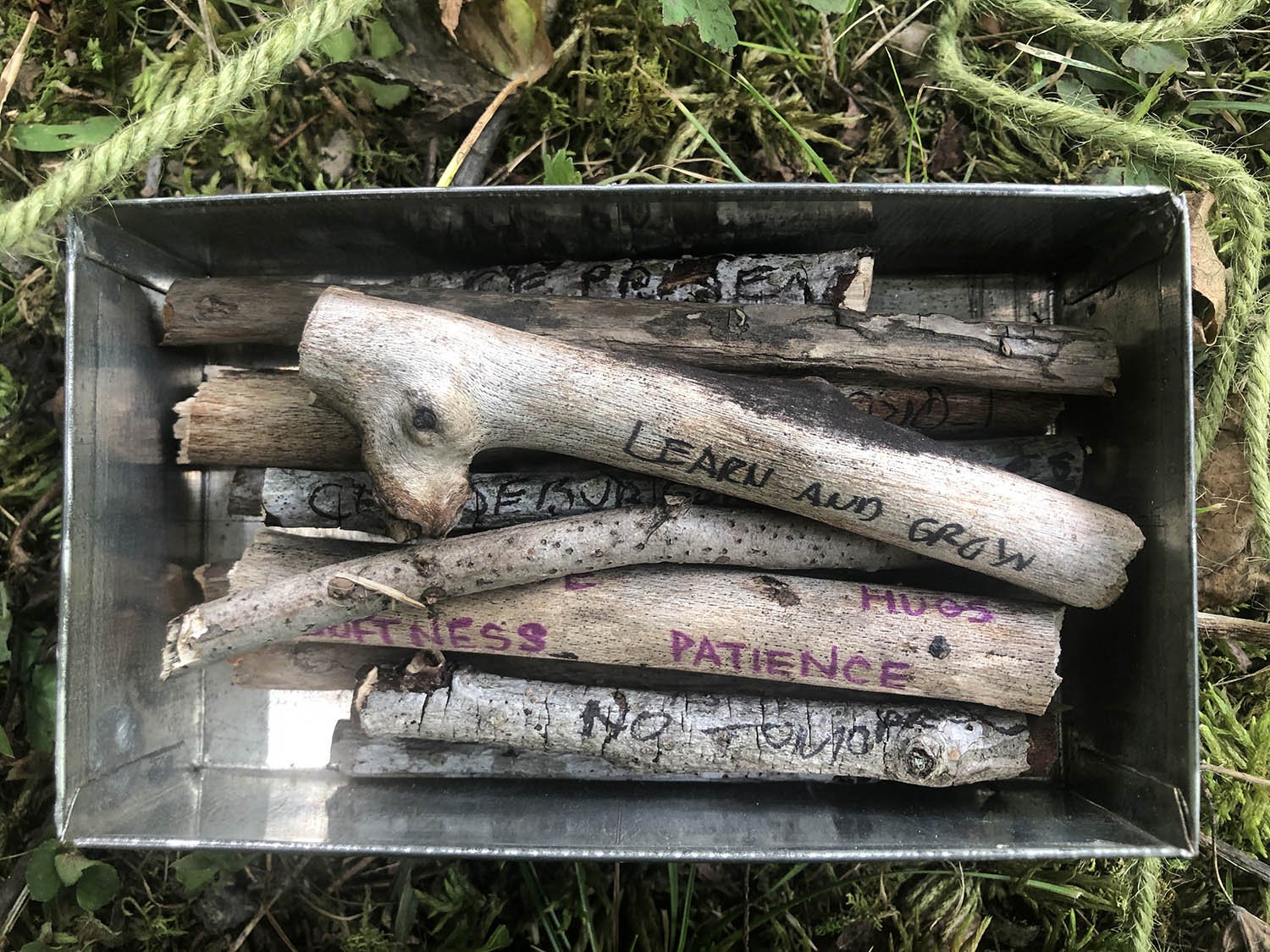  Somatic Portal artifacts from Ezell: Ballad of a Land Man at Pine Mountain Settlement School, July 2021. Photo: Nicole Garneau. 