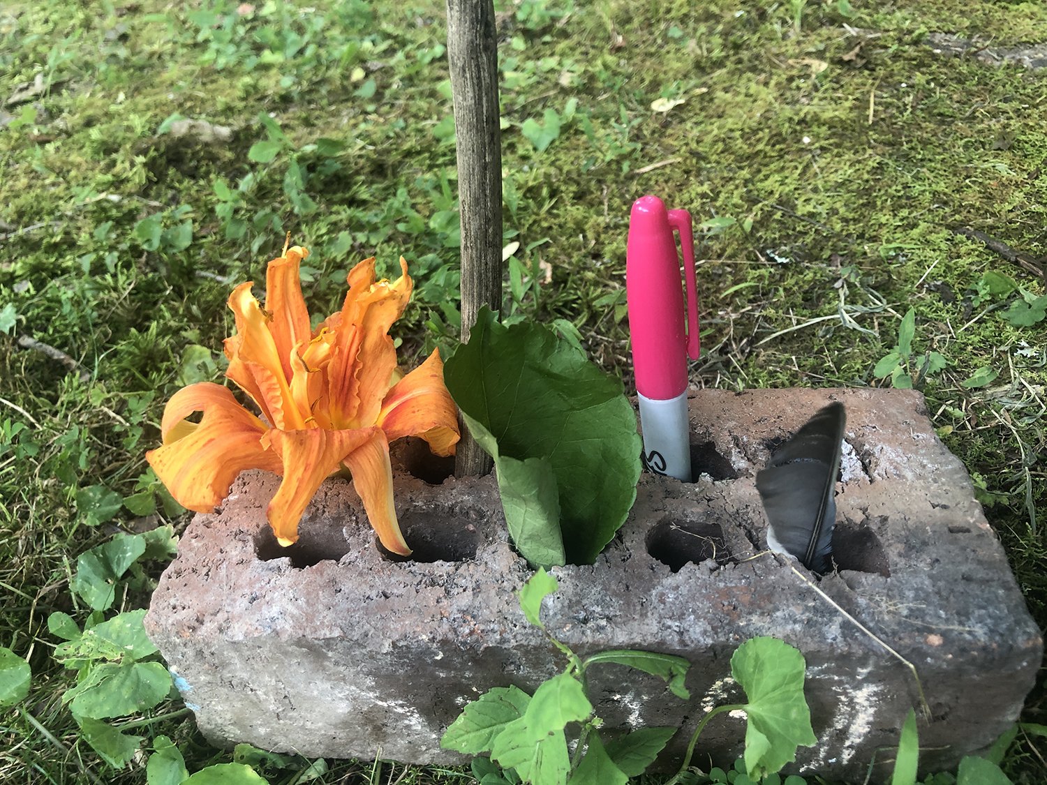  Somatic Portal artifacts from Ezell: Ballad of a Land Man at Pine Mountain Settlement School, July 2021. Photo: Nicole Garneau. 