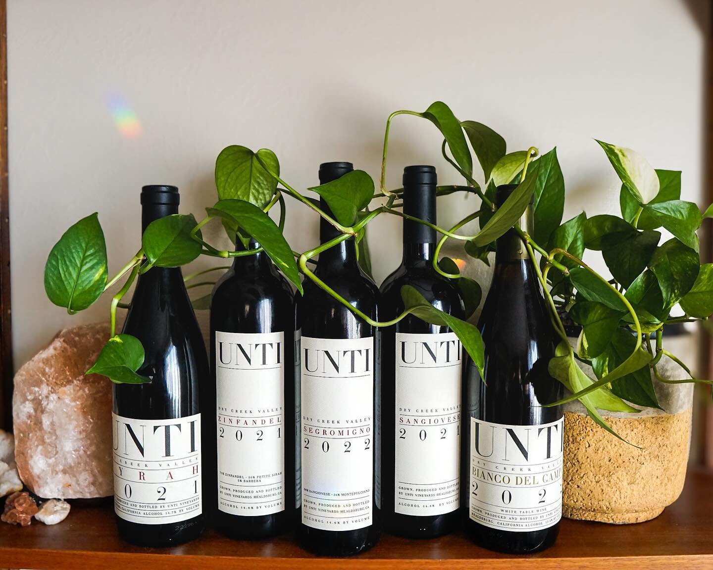There are many sides to the Unti story. A father and son duo of Italian obsessives seeking their own little Tuscany in the dry part of Sonoma. Then there are the Rhone varieties, planted with the same consideration and diligence but by its very natur