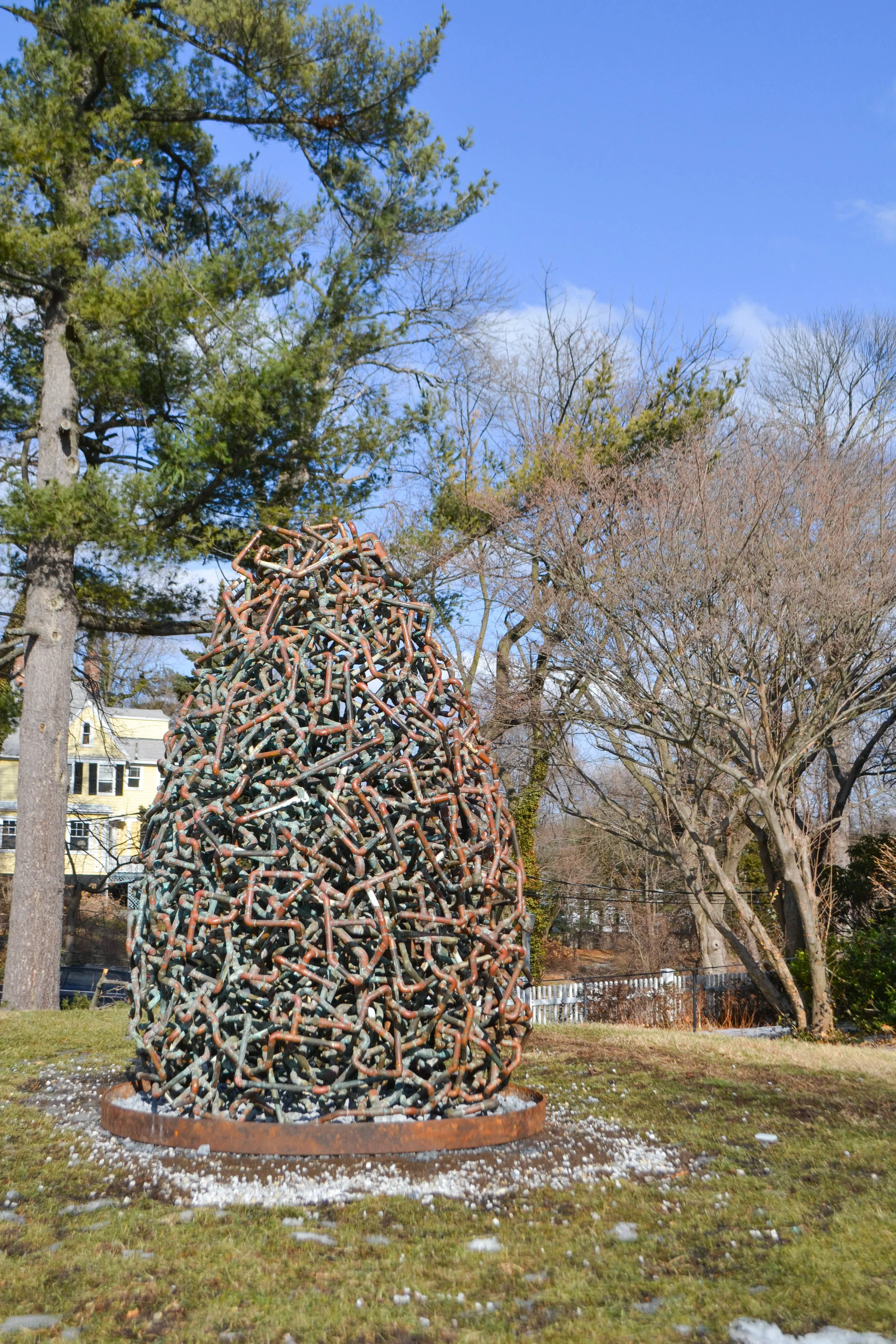 DSC_0292.jpg