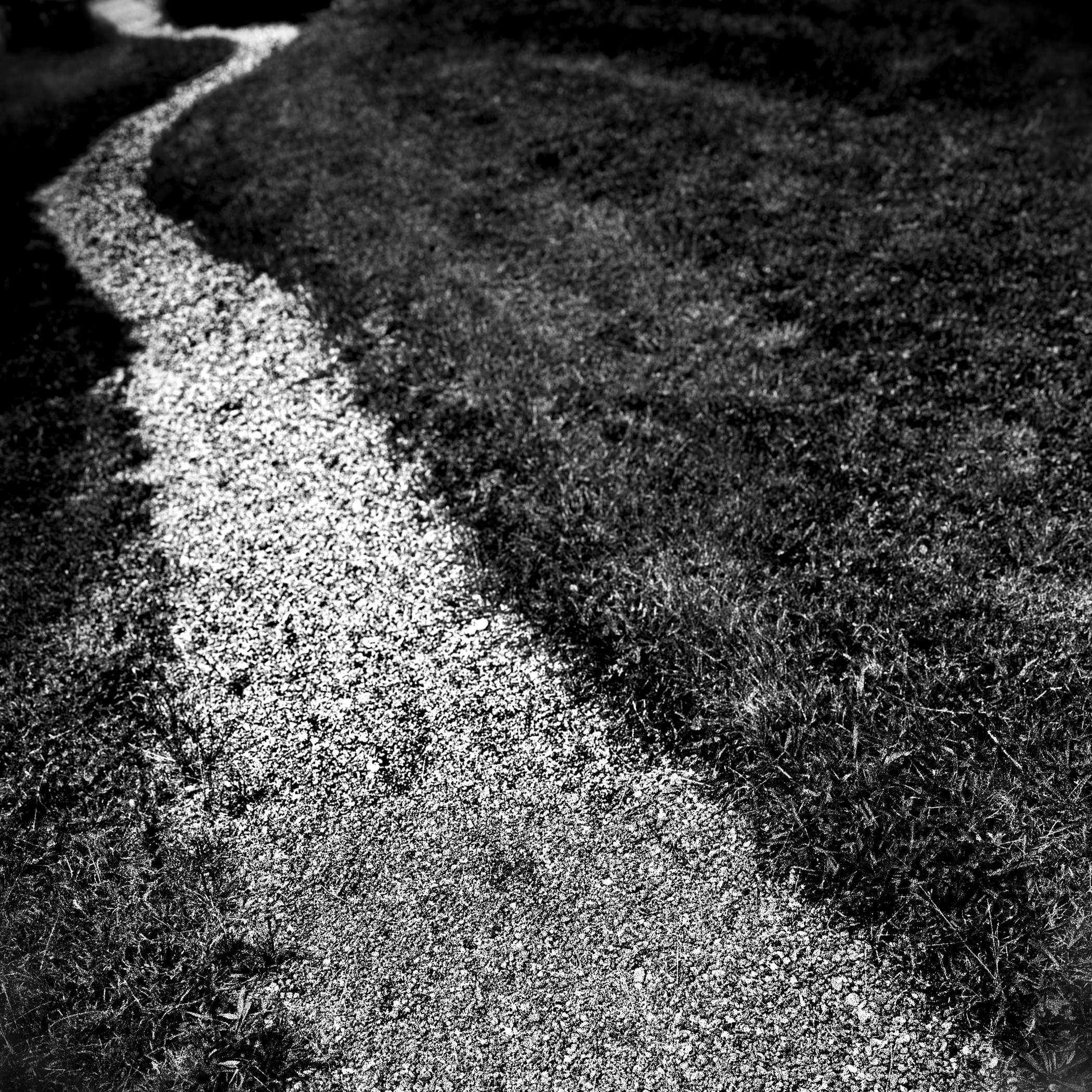    Gravel Path   by Patrick J. Cicalo 