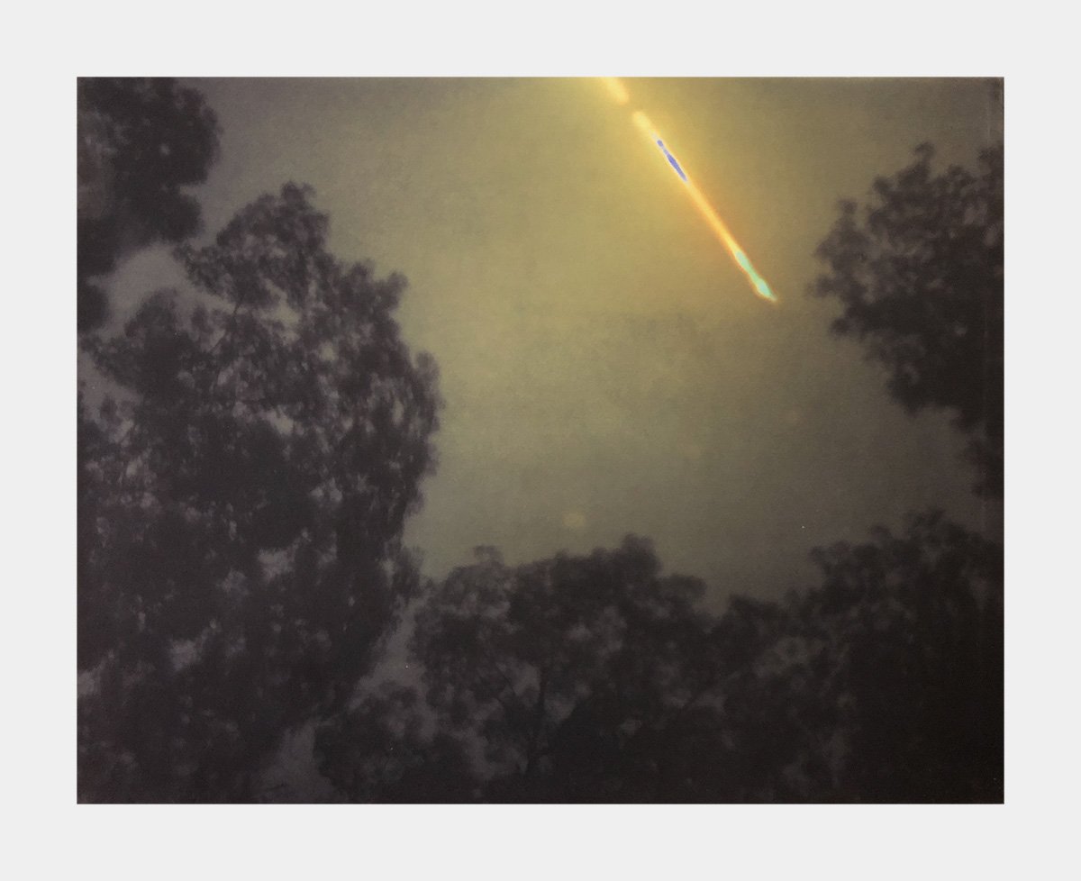 Dunbar_Woodland Solargraph 170722.jpg