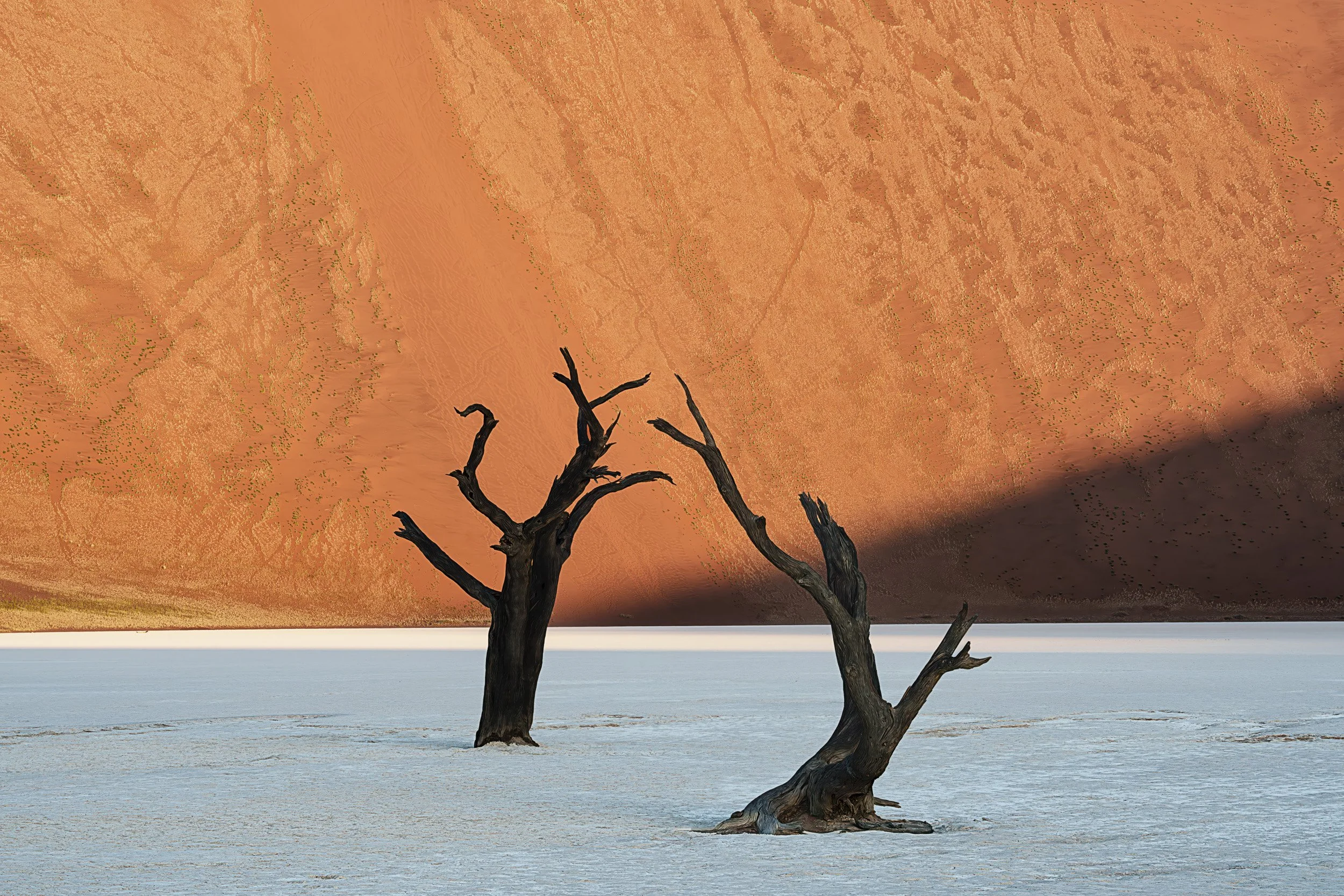 Philipp_Tad_5_ Dance of the Camel Thorn Trees - Deadvlei Namibia.jpg