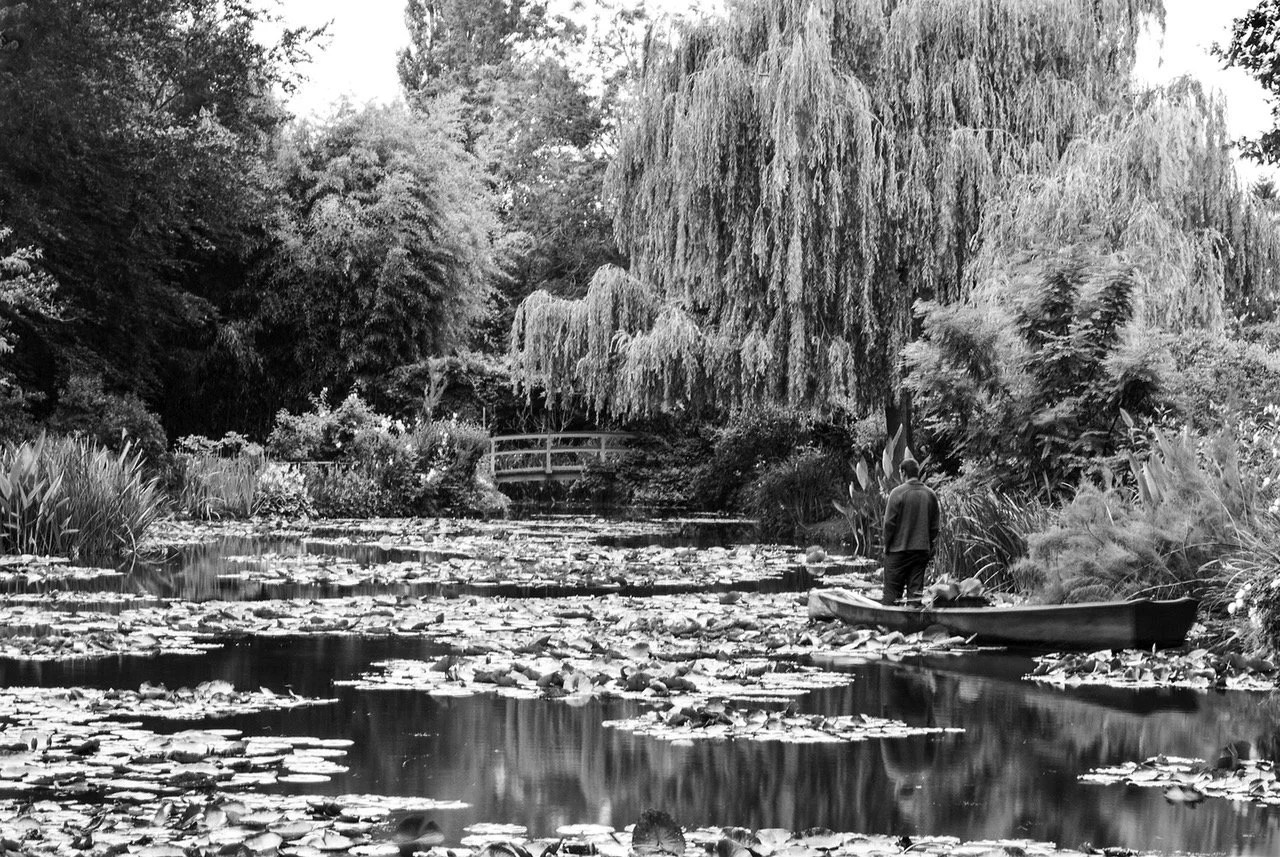 Frost_Rosalie_4_Monet_s Water Garden, Shadow and Light.jpeg