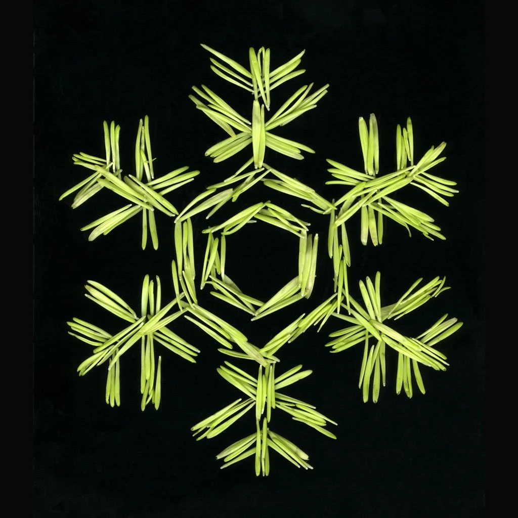 LFord.seasonal.8.jpg