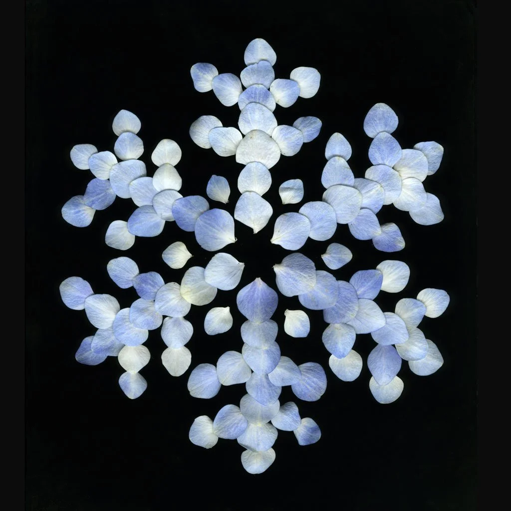 LFord.seasonal.17.jpg