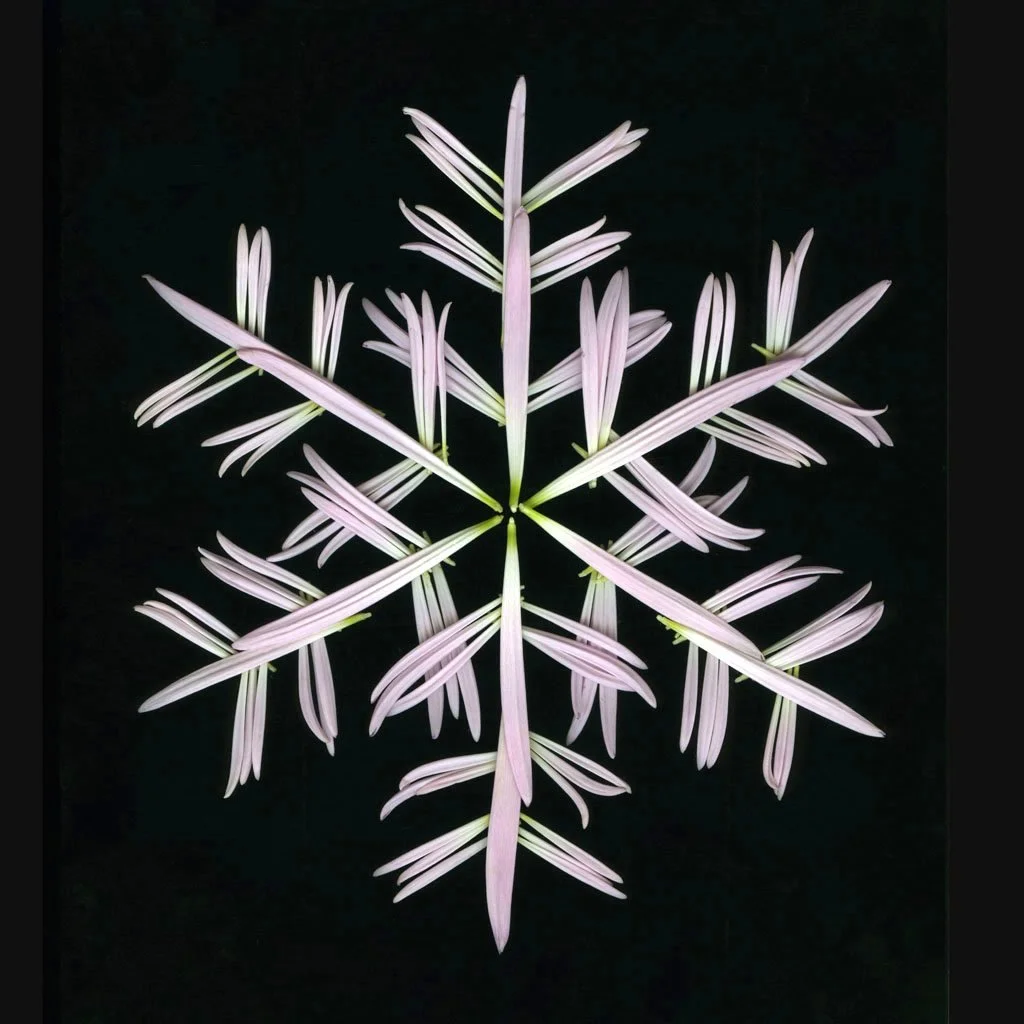 LFord.seasonal.18.jpg