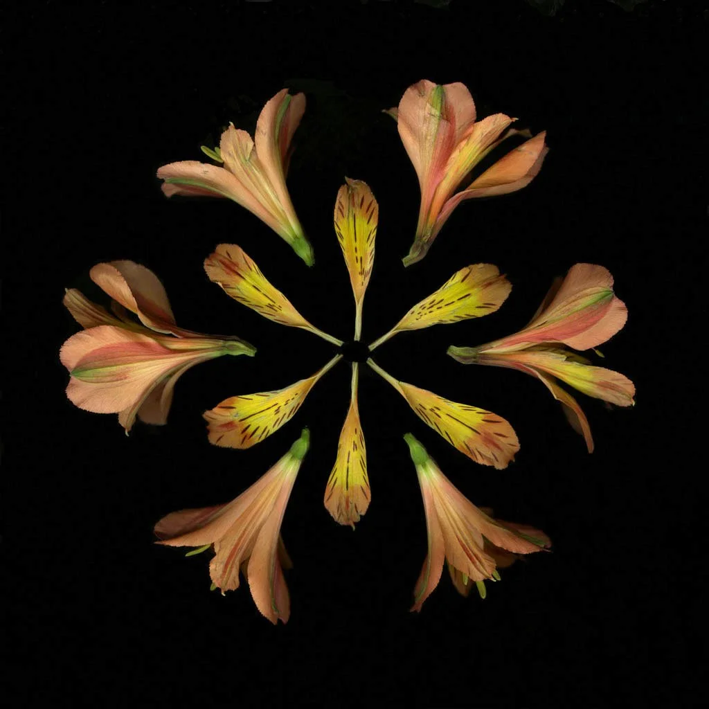LFord.seasonal.22.jpg