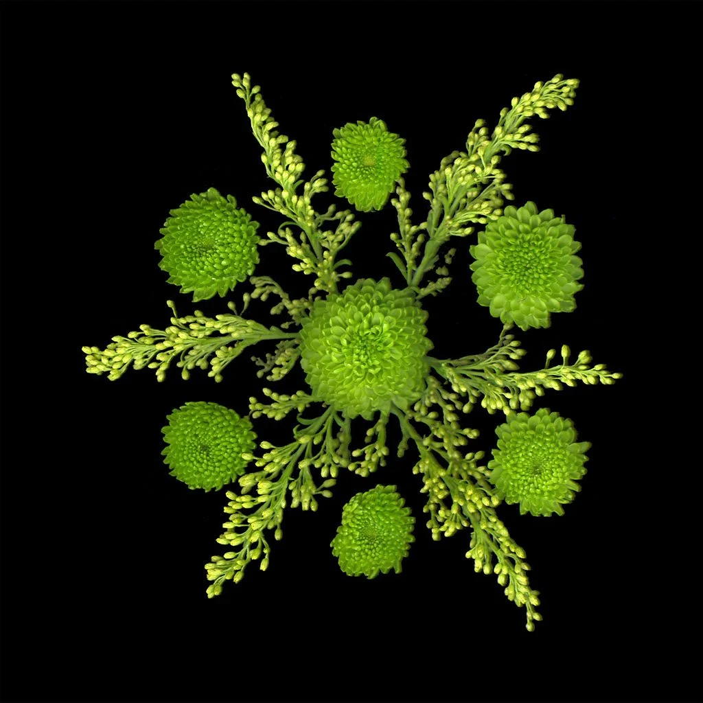 LFord.seasonal.27.jpg