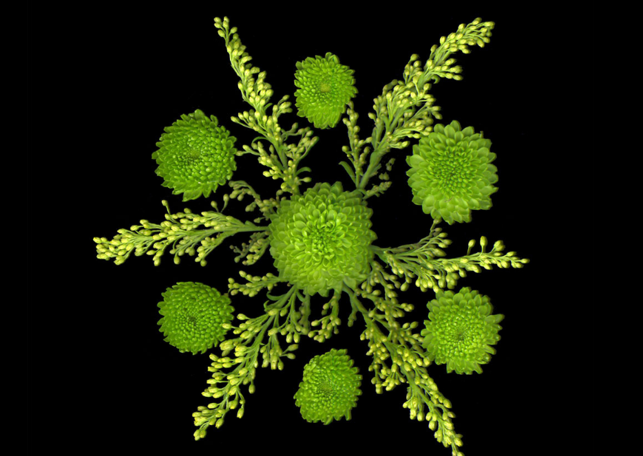 Seasonal_Gallery-B_LeslieFord-2026-1-.png