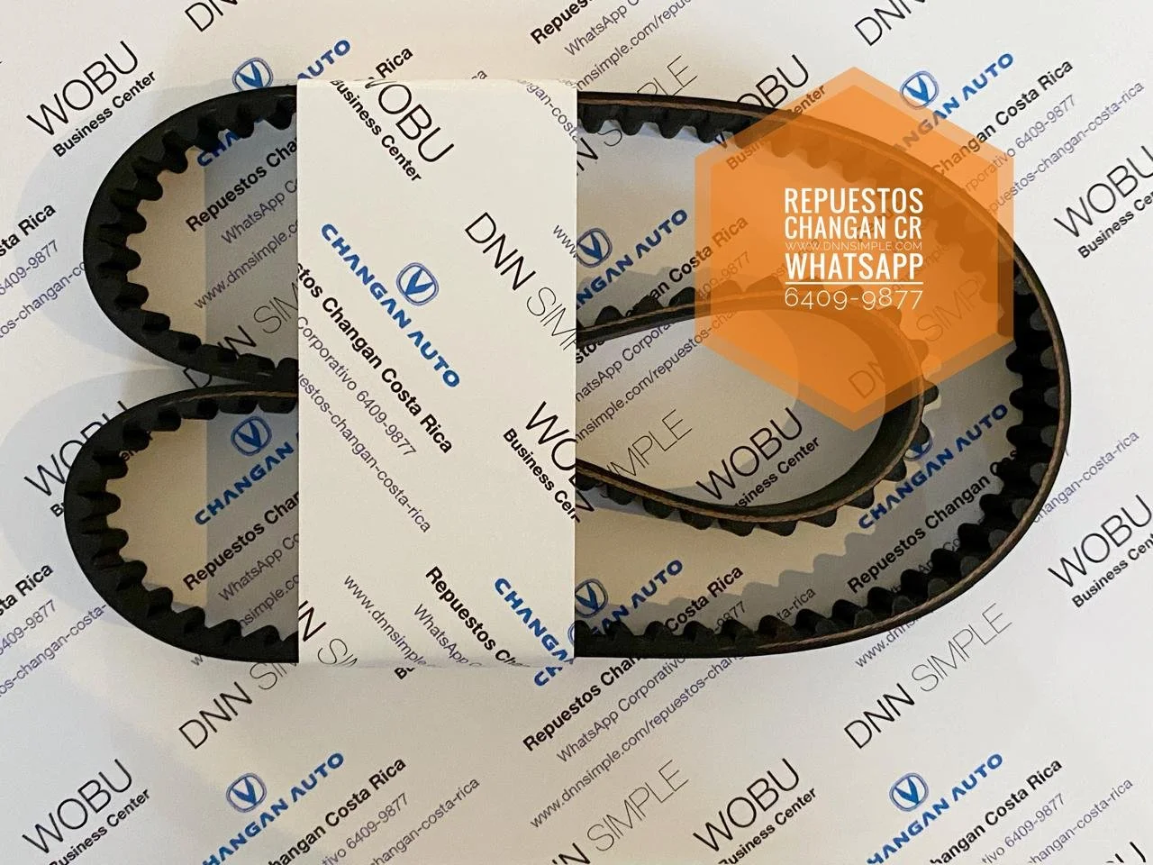 10 Faja distribución Changan Benni.jpeg