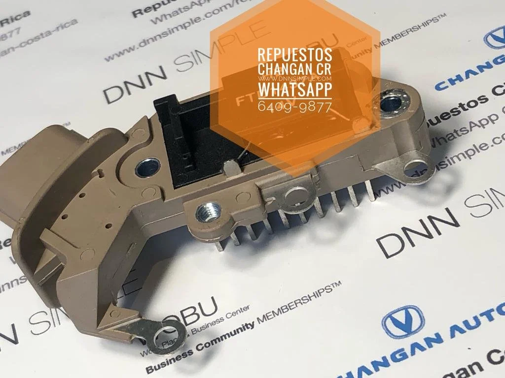 13 Generacion Placa diodos Changan Benni 10.jpeg