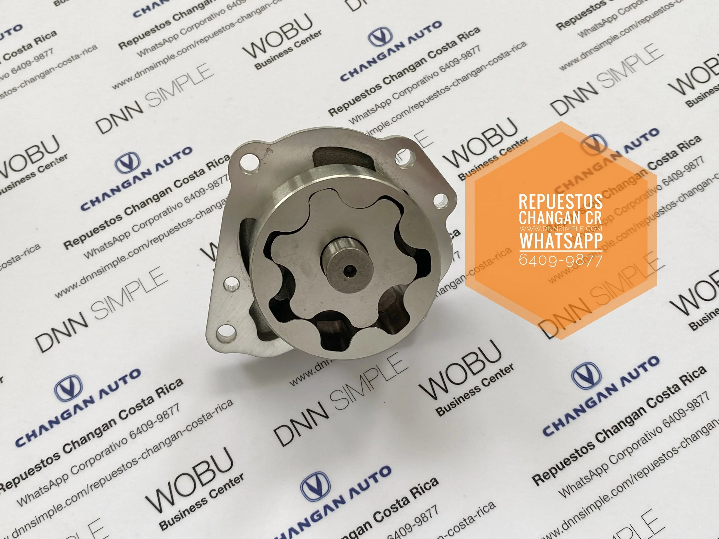 01 Bomba presion aceite Changan Hunter.JPG