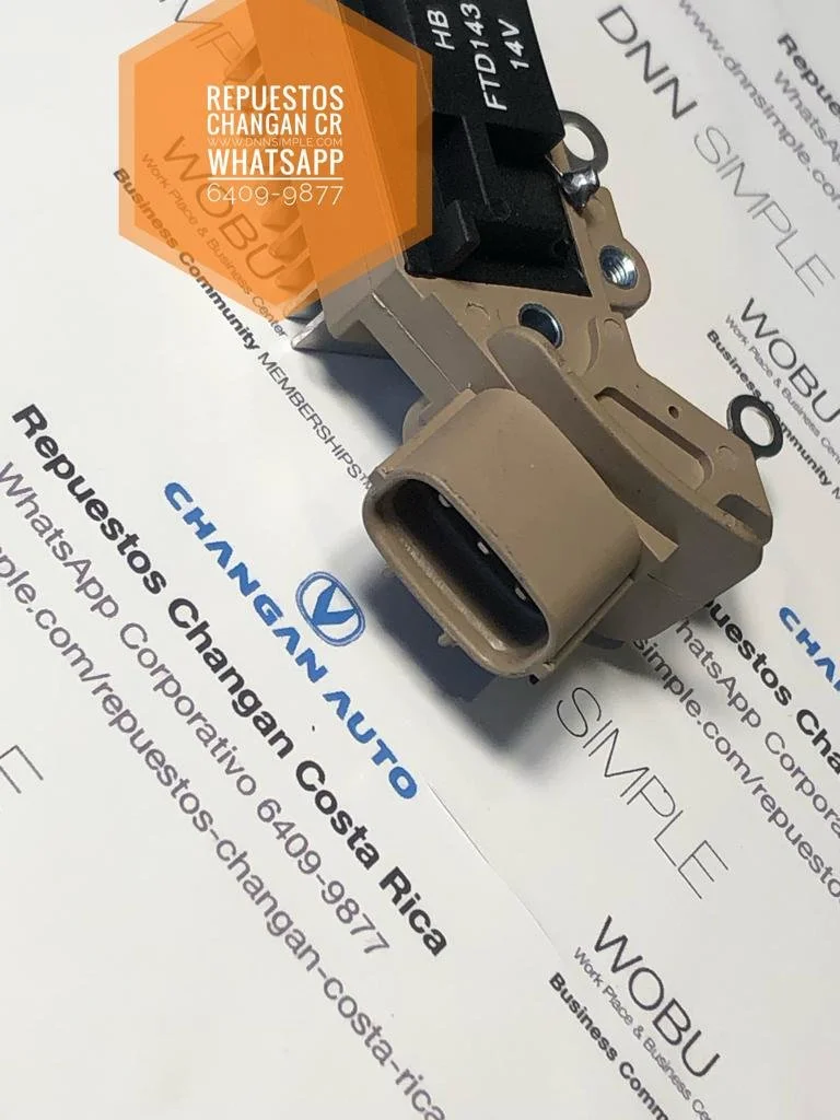 12 Generacion Placa diodos Changan Benni 10.jpeg