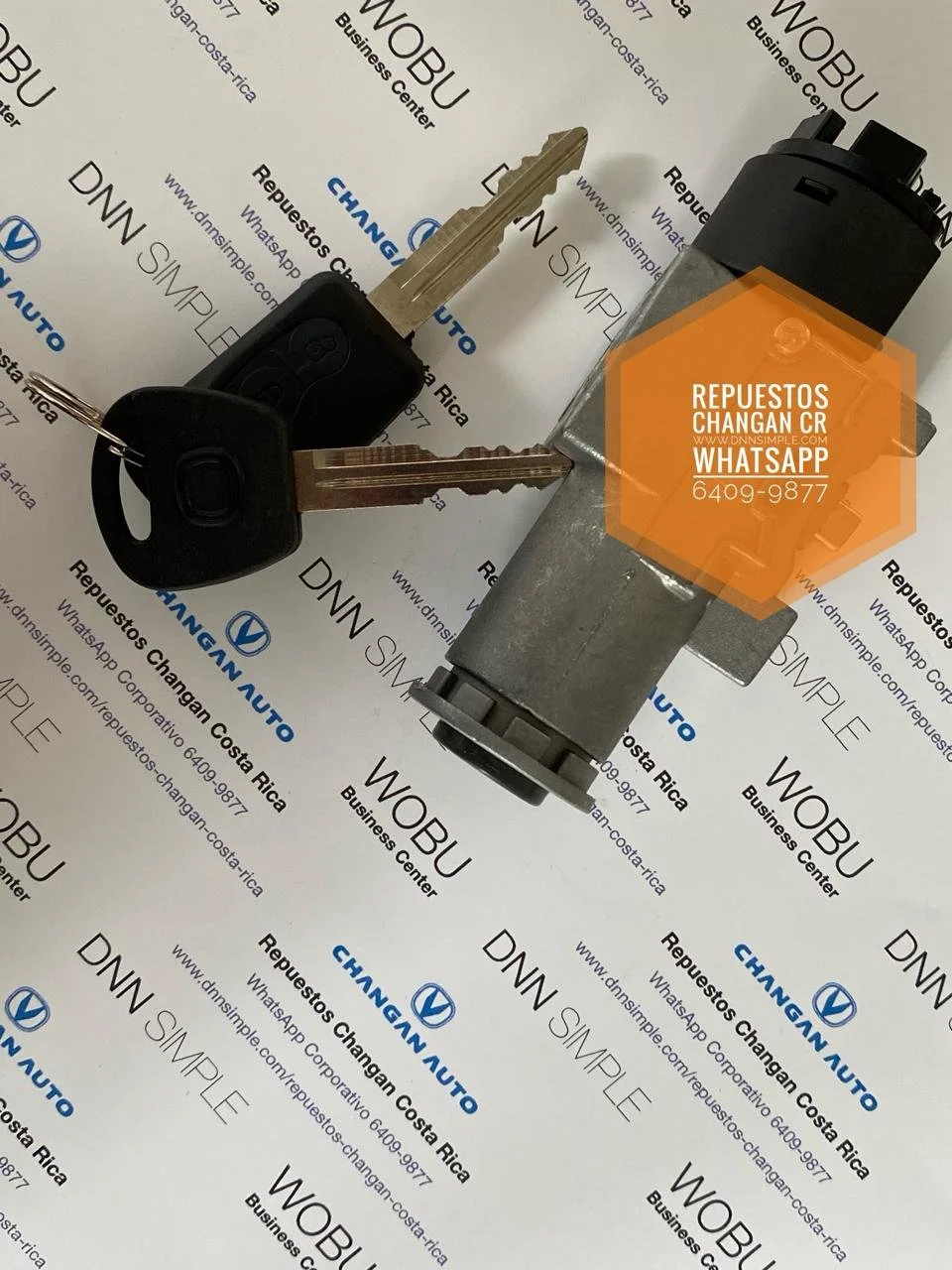 04 Llavin encendido Changan Benni.jpeg