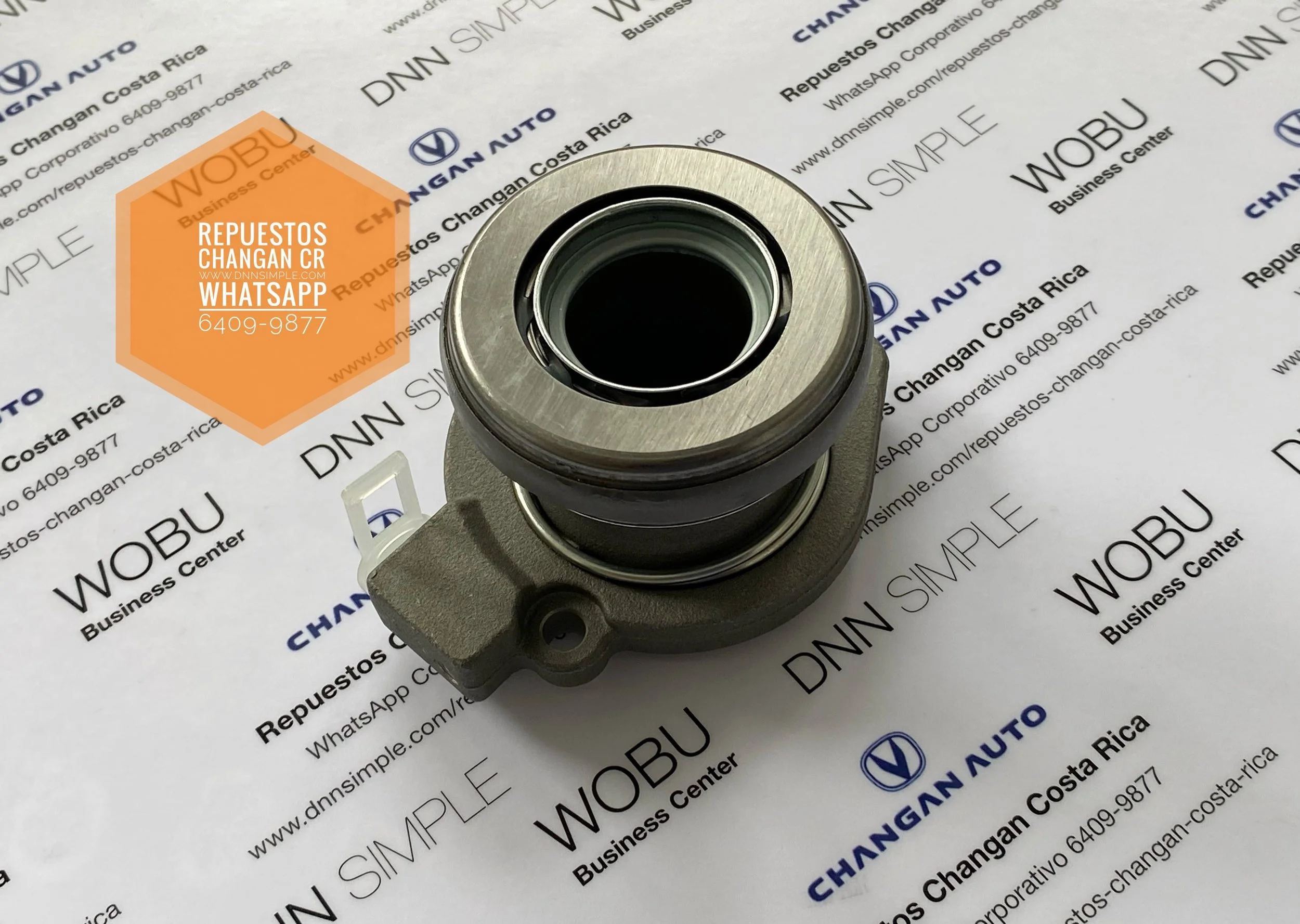 02 Rol empuje hidraulico Changan CS 75.JPG (copia)