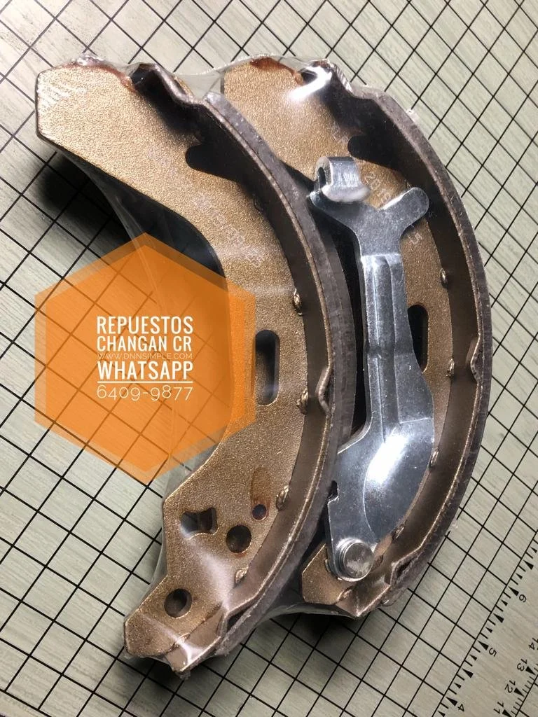 06 Fibras traseras Benni 1.4.jpeg