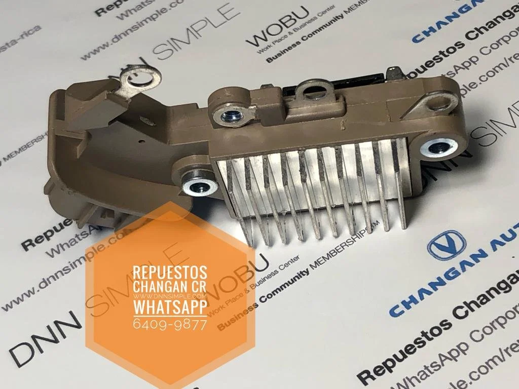 14 Generacion Placa diodos Changan Benni 10.jpeg