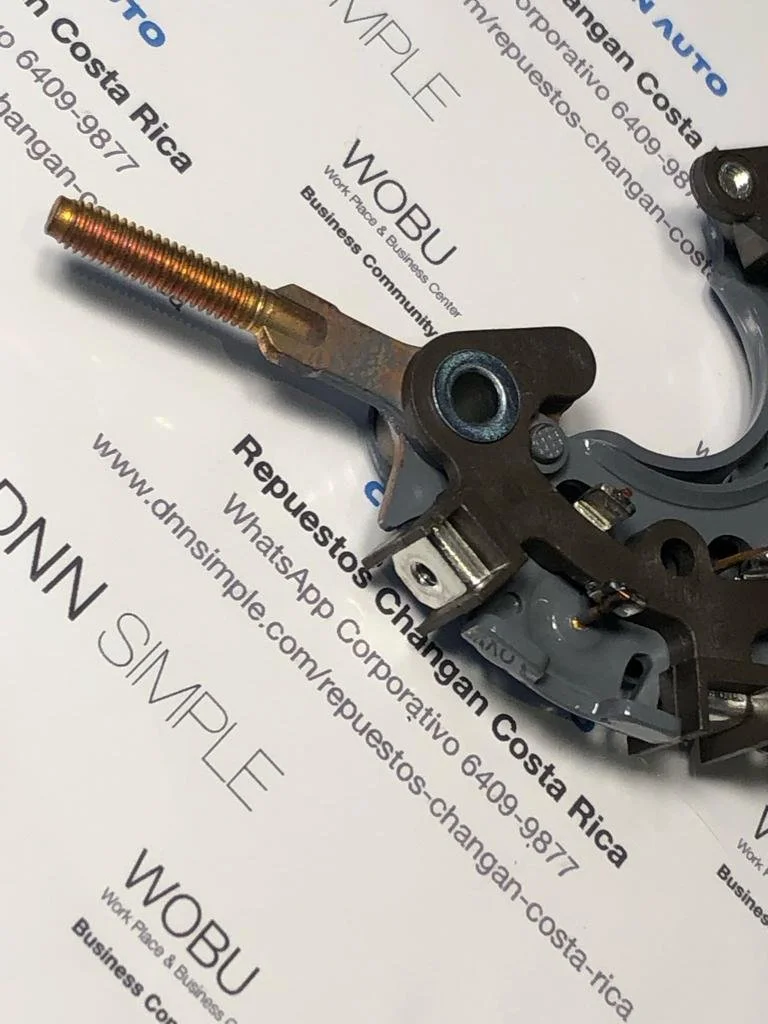 03 Generacion Placa diodos Changan Benni 10.jpeg