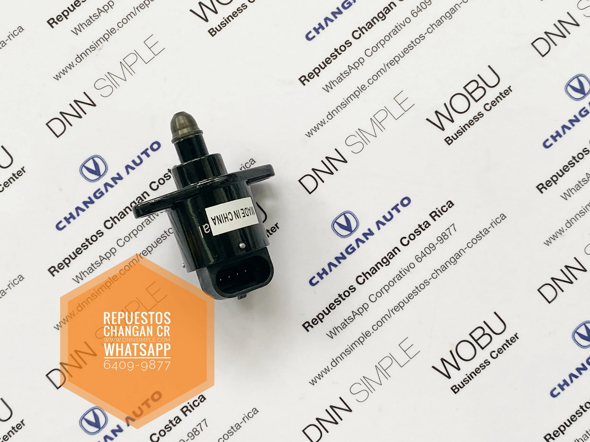 02 Valvula control minimo IAC.JPG