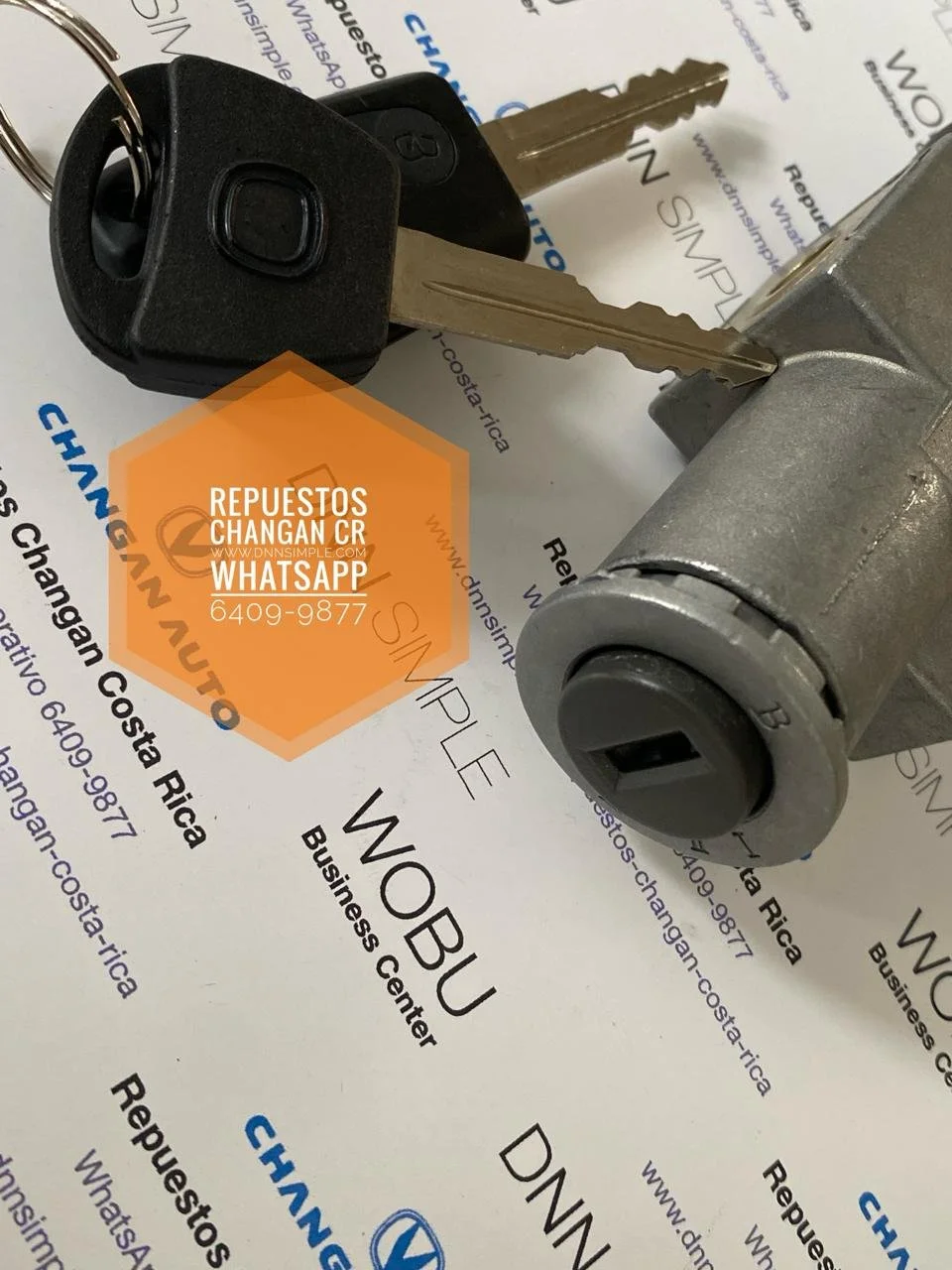 02 Llavin encendido Changan Benni.jpeg