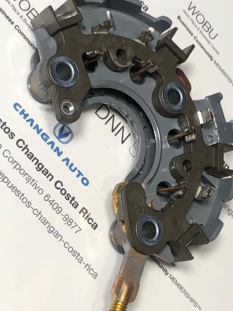 04 Generacion Placa diodos Changan Benni 10.jpeg