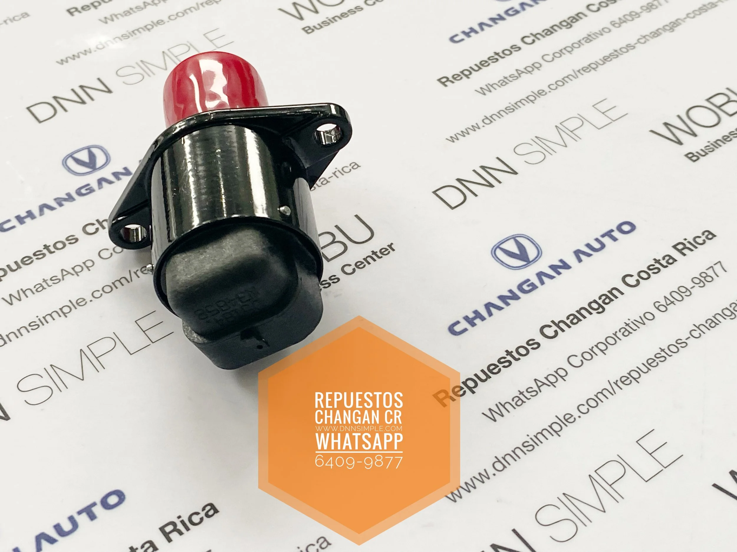 05 Valvula control minimo IAC.JPG