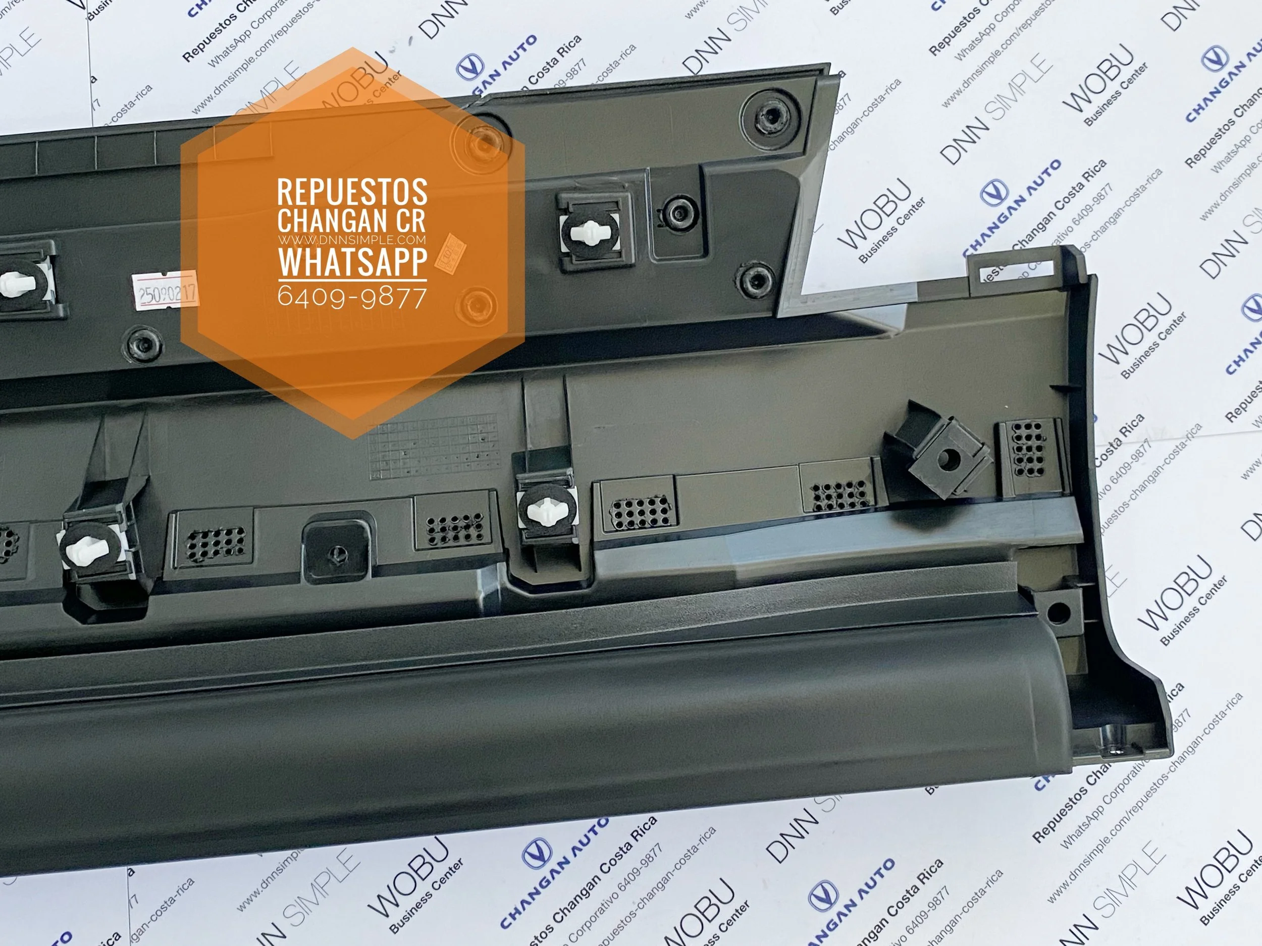 04 Moldura inferior puerta trasera Changan CS35 Plus.JPG