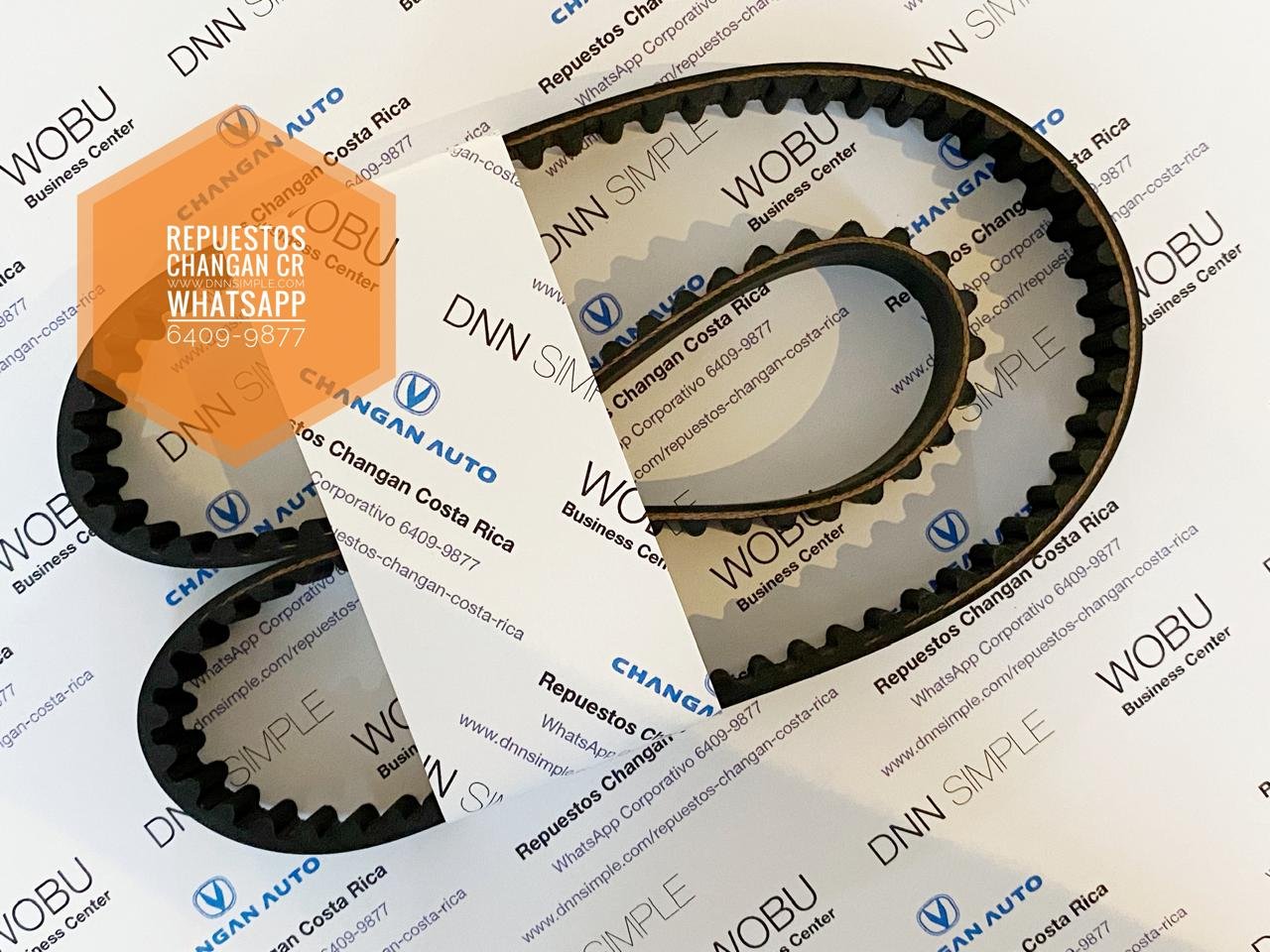 11 Faja distribución Changan Benni.jpeg