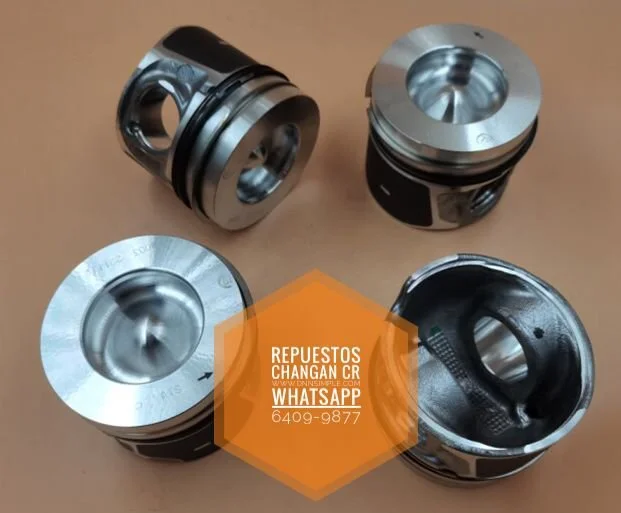 Anillos y pistones de motor de motor. Changan Hunter.