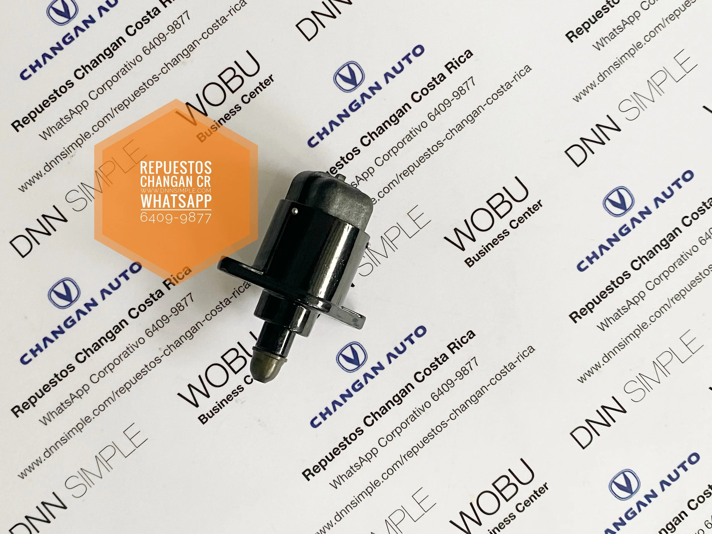 06 Valvula control minimo IAC.JPG