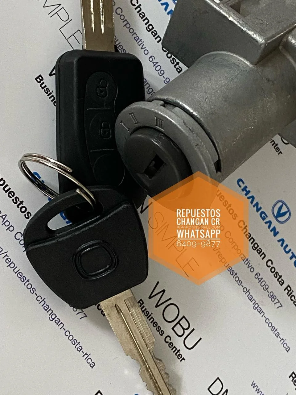 06 Llavin encendido Changan Benni.jpeg