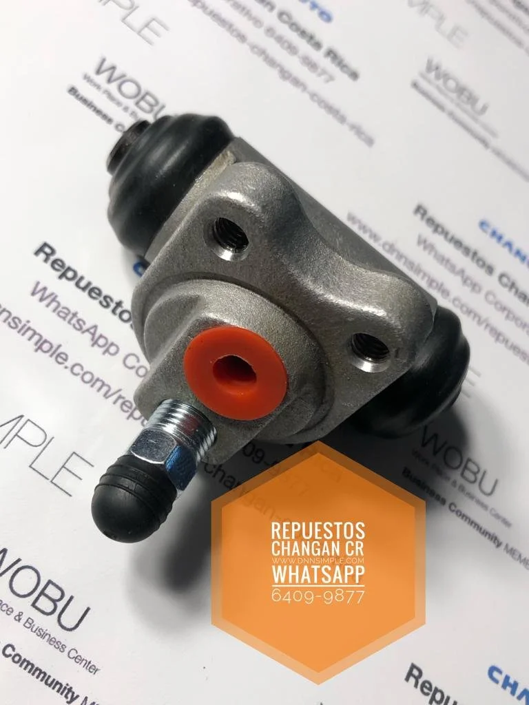 11 Bomba freno trasera Benni 1.0.jpeg