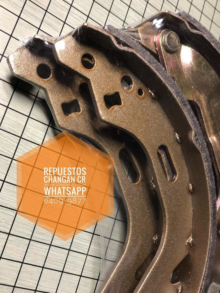 03 Fibras traseras Benni 1.4.jpeg