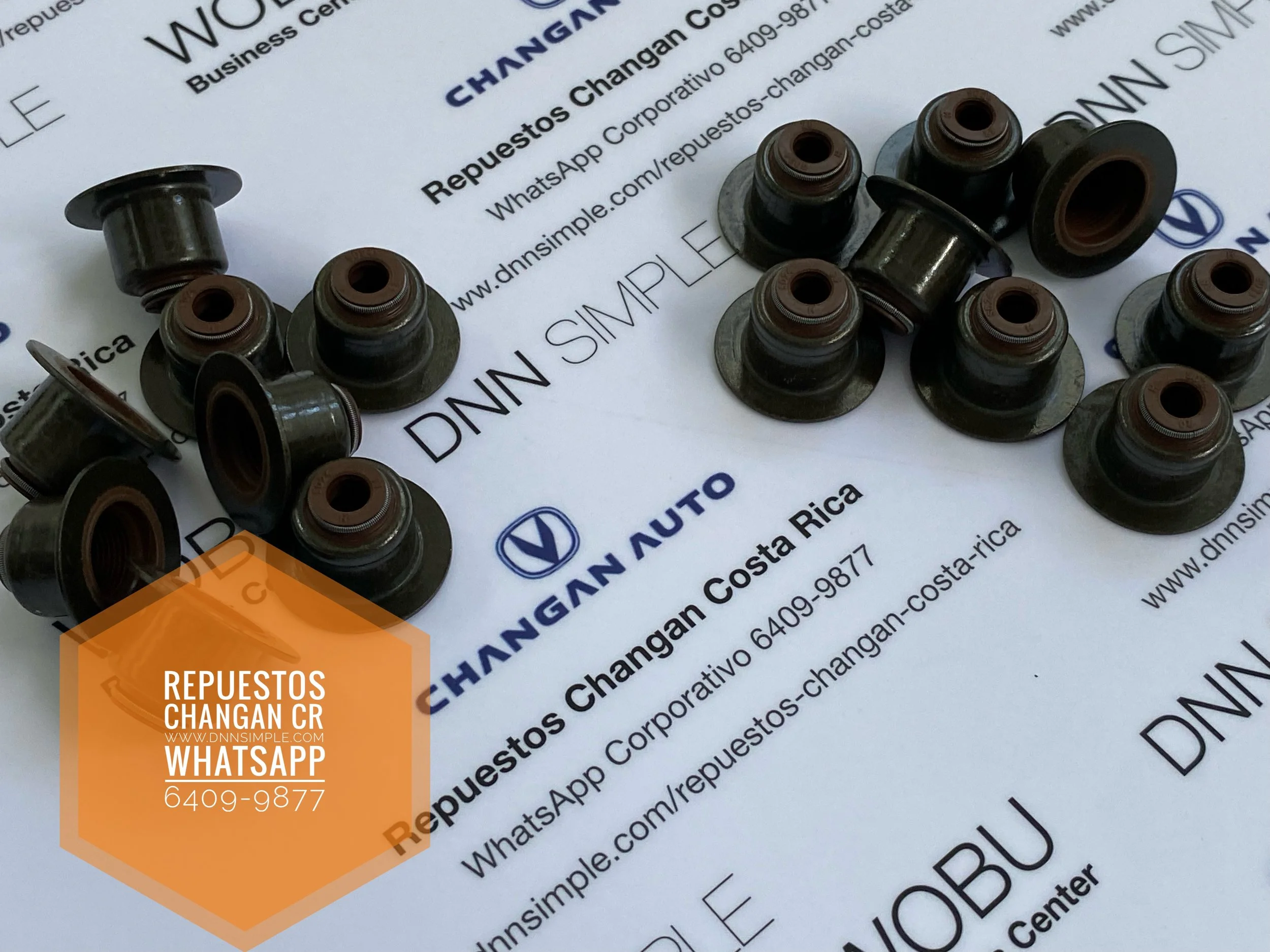 02 Sellos valvulas Changan Hunter 10.JPG